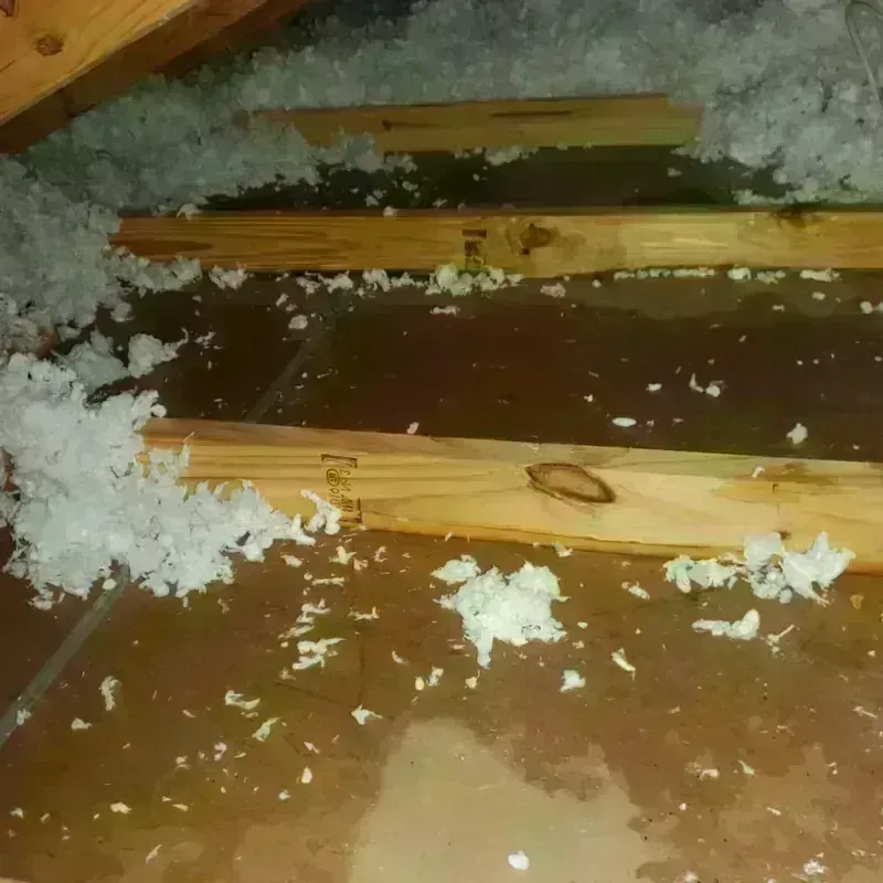 Attic Water Damage in Meagher County, MT